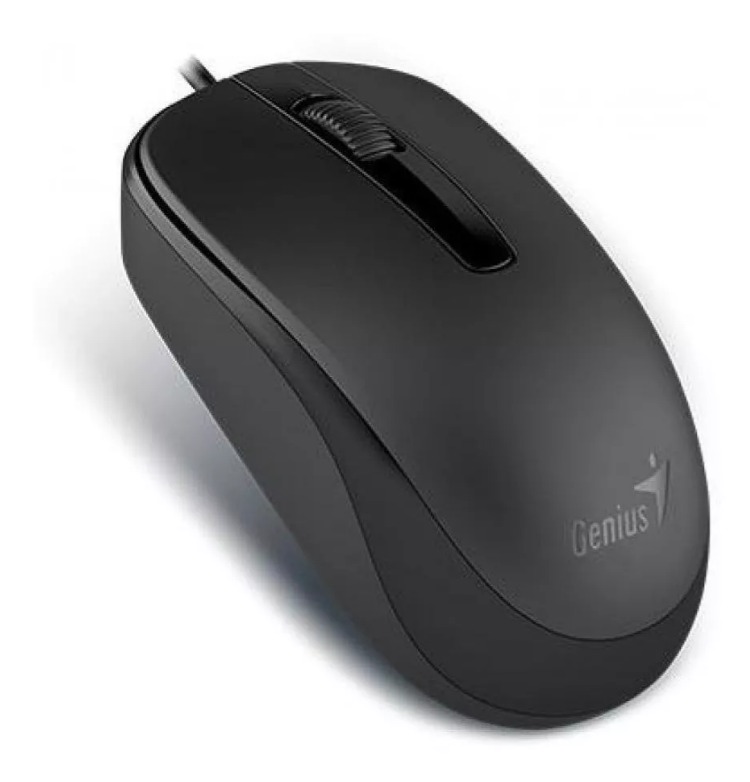 Mouse Genius Usb Black (DX-101 BLACK USB)